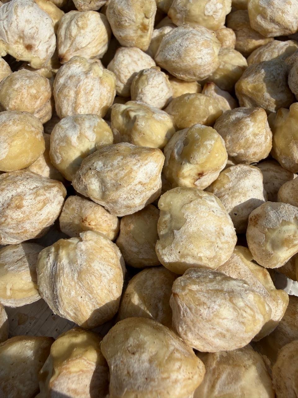 Indonesian Candlenuts - CV Zuri Harapan Raya