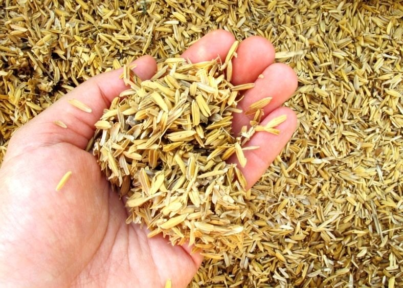 Rice Husk 1 - CV Zuri Harapan Raya