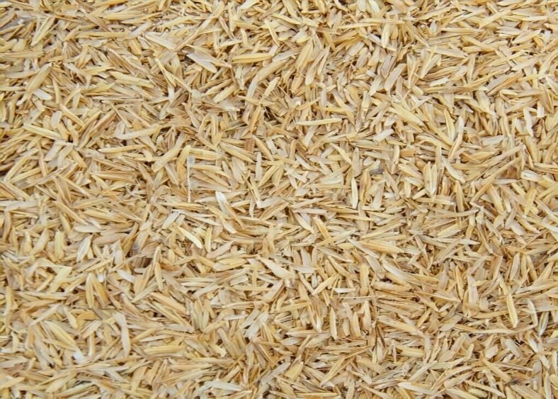 Rice Husk 2